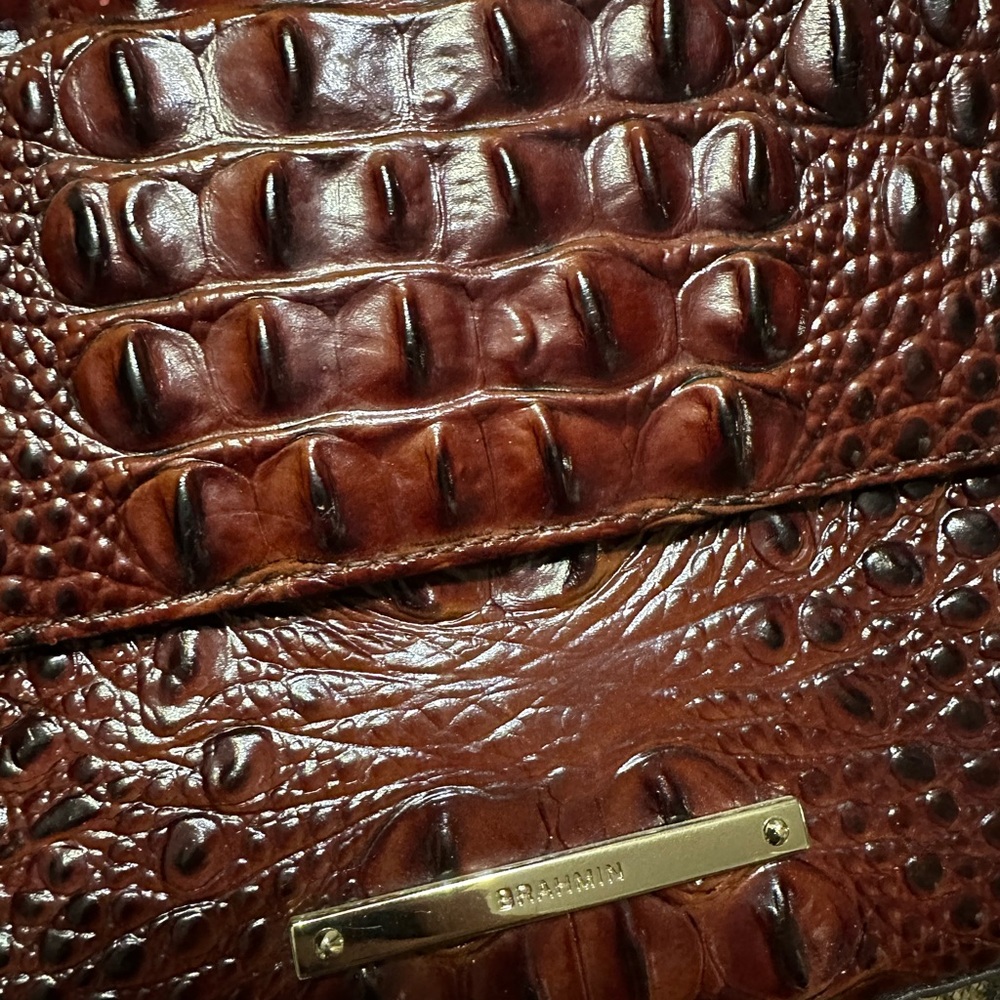 Brahmin Chestnut Crocodile Embossed Leather Clutch